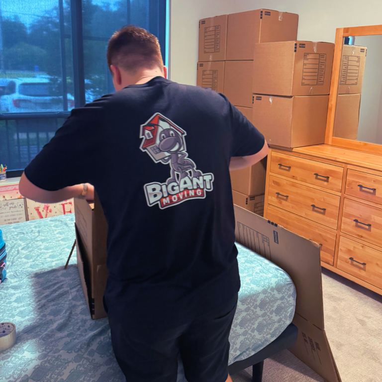 Movers Hernando County FL