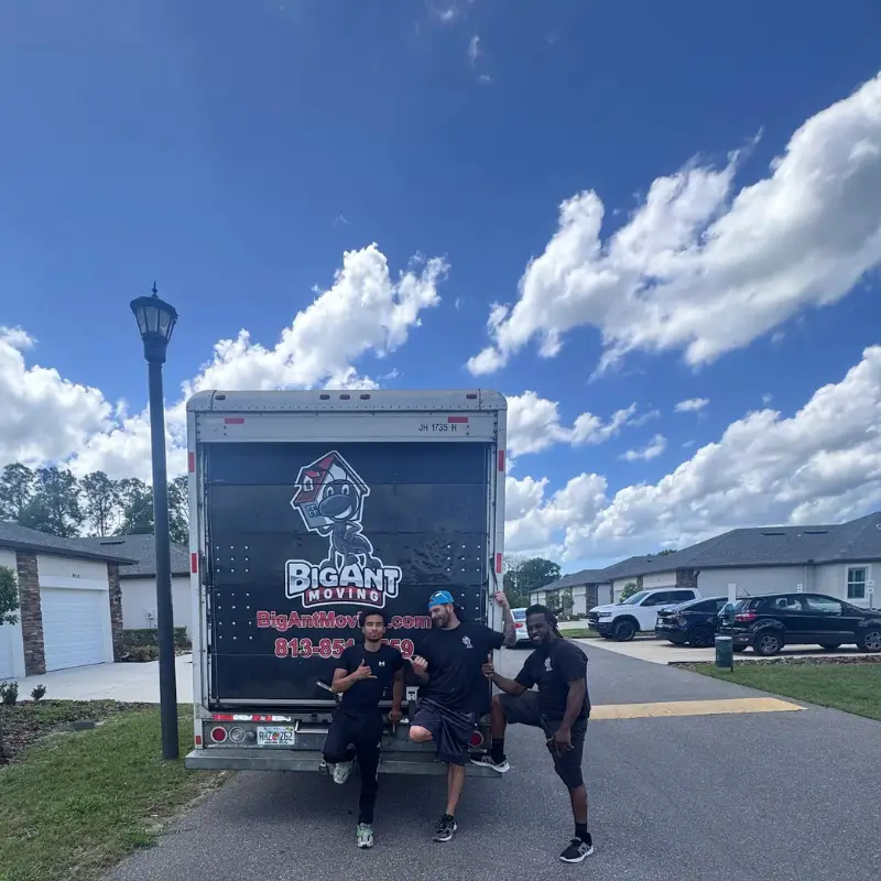 Big Ant Moving Movers Wesley Chapel
