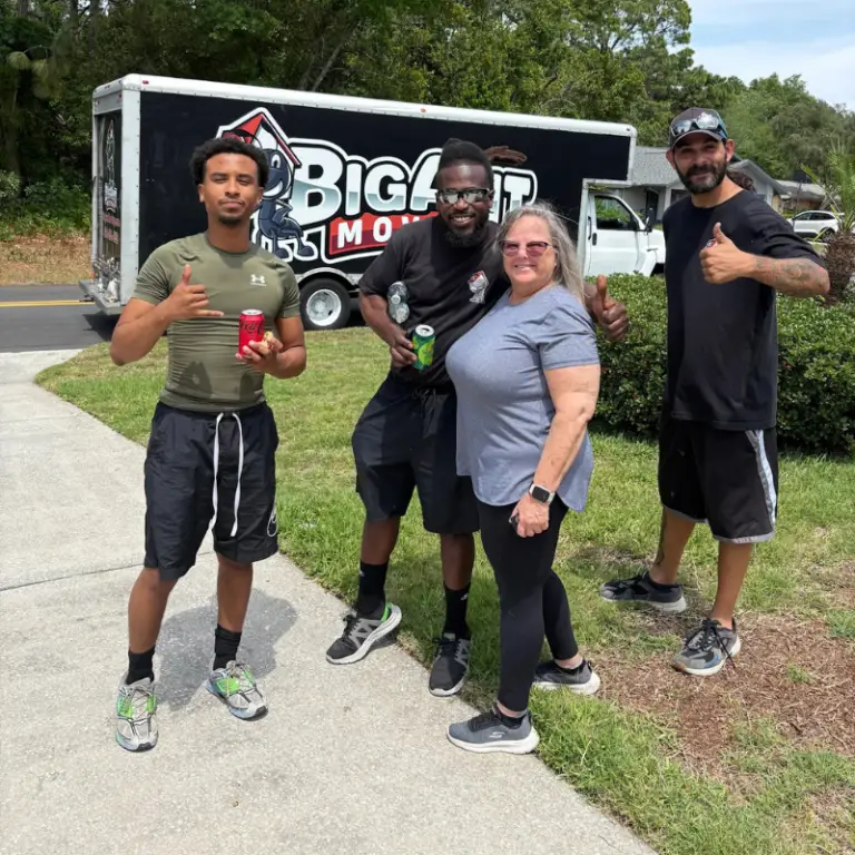 Big Ant Moving Movers Wesley Chapel