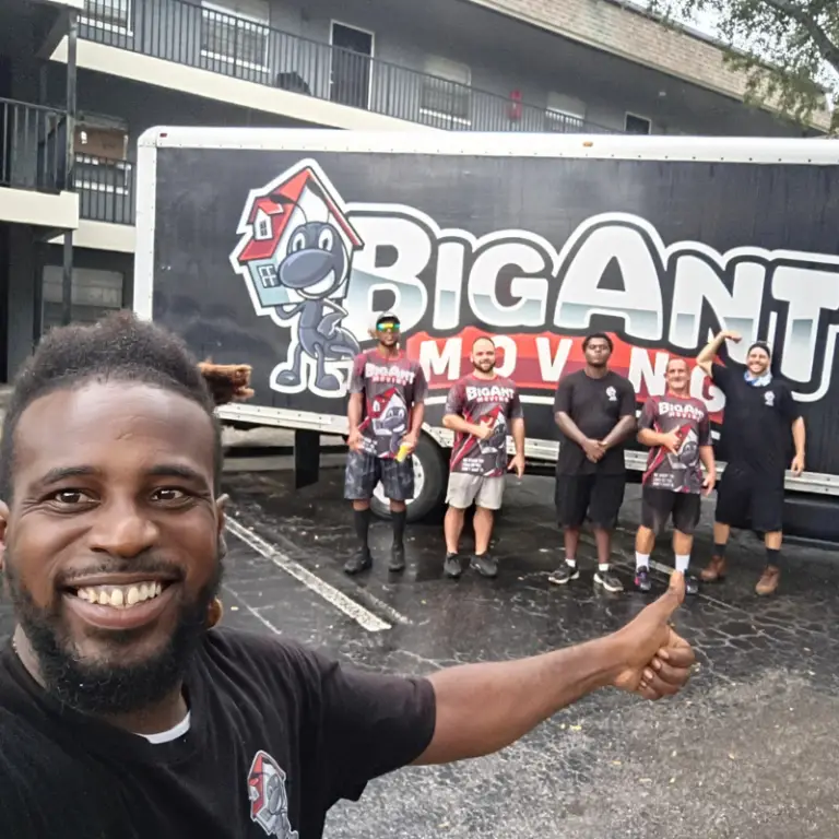 Movers Wesley Chapel