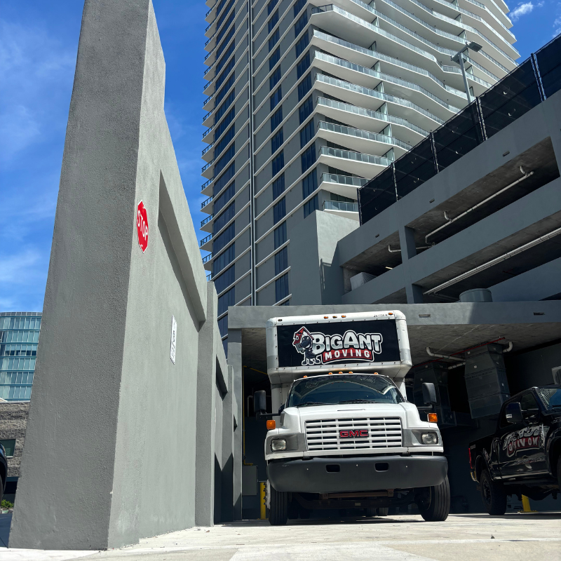 Movers Wesley Chapel