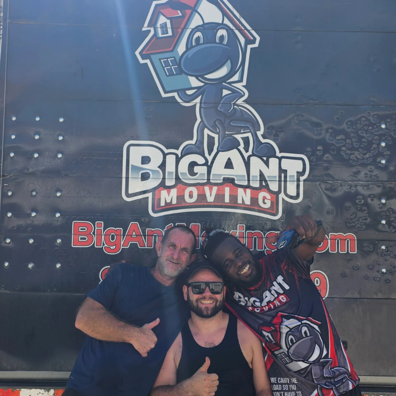 Movers Wesley Chapel